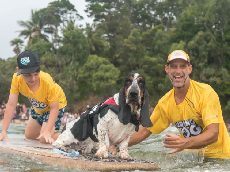 2024 Surfing Dog Championships team group photo