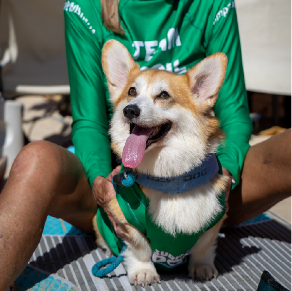 Team Basil