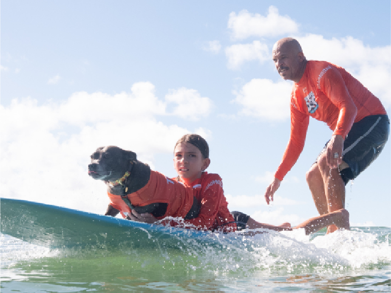 2025 Surfing Dog Championships photo