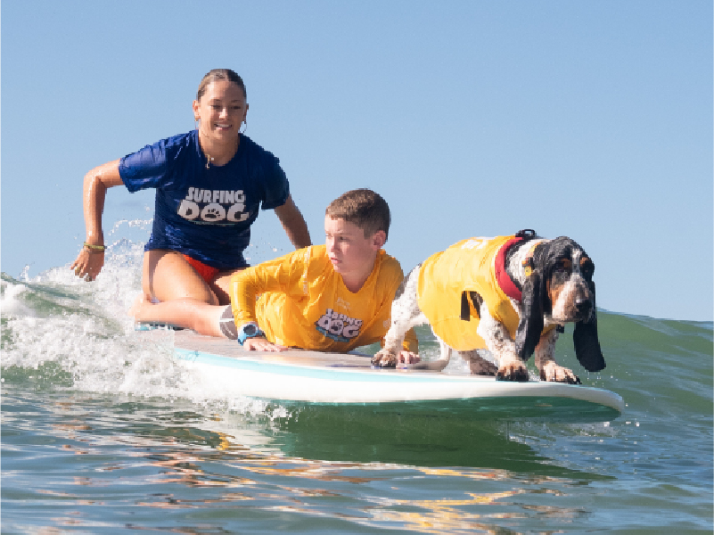 2025 Surfing Dog Championships photo