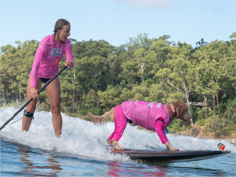 2025 Surfing Dog Championships photo
