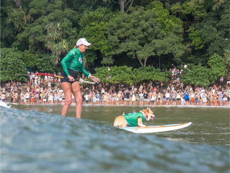 2026 Surfing Dog Championships photo