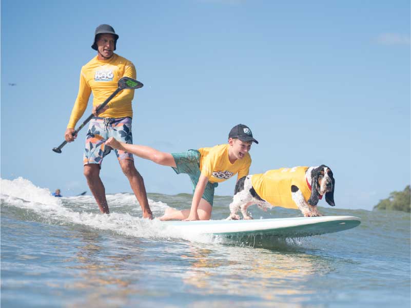 2026 Surfing Dog Championships photo