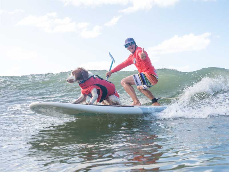2026 Surfing Dog Championships photo