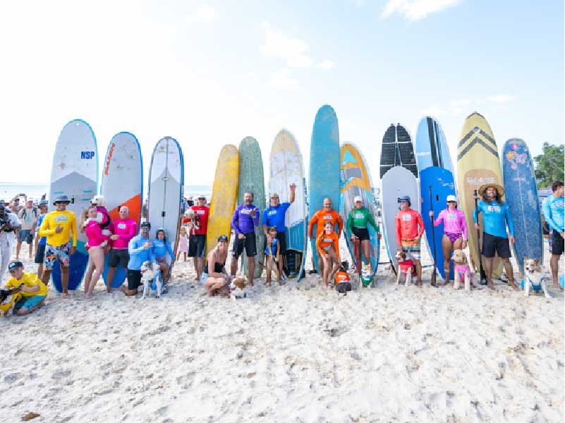 Crowd and competitors at the 2026 Surfing Dog Championships