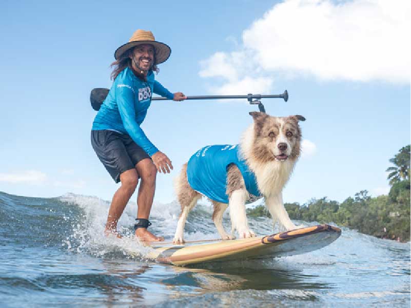 2026 Surfing Dog Championships team group photo
