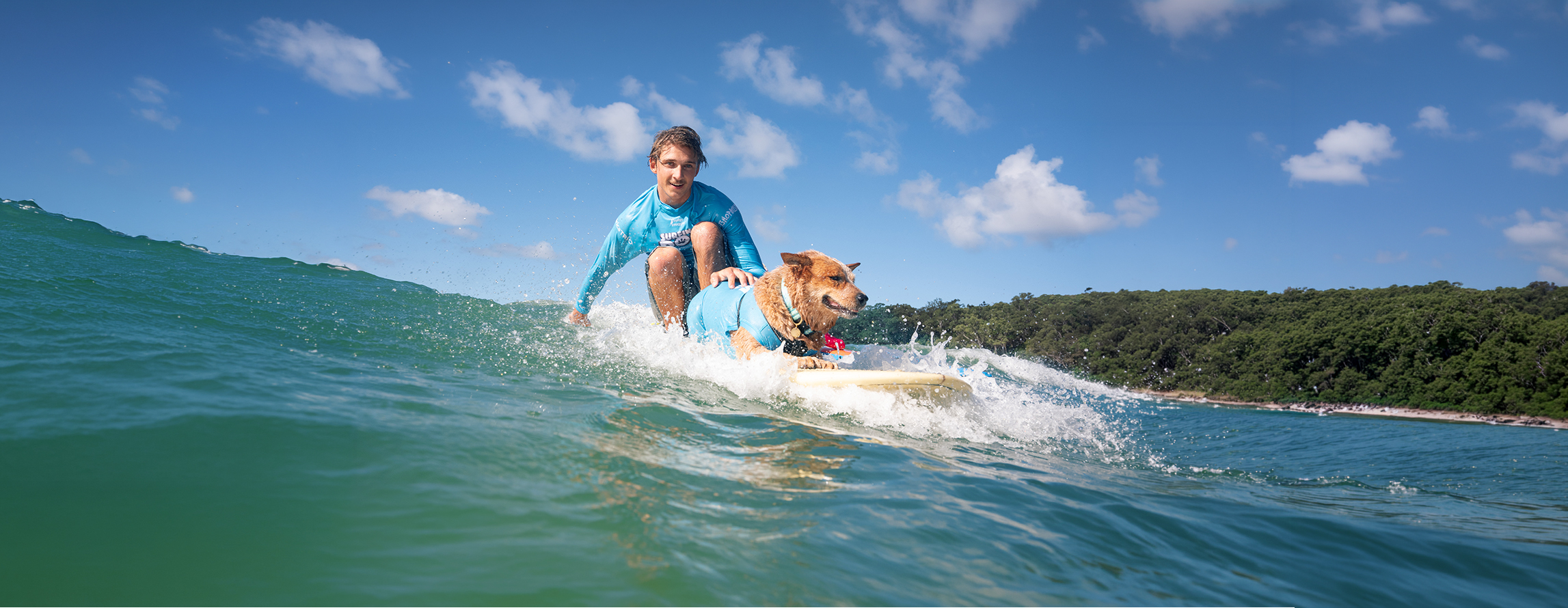 Surfing Dog Championships 2026