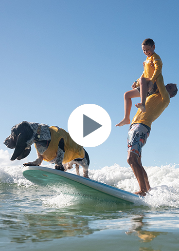Surfing Dog Championships Instagram highlight