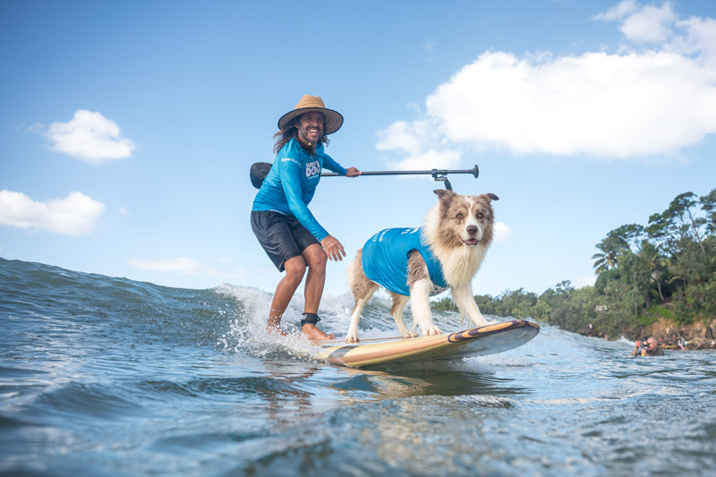 Surfing dog event at Noosa