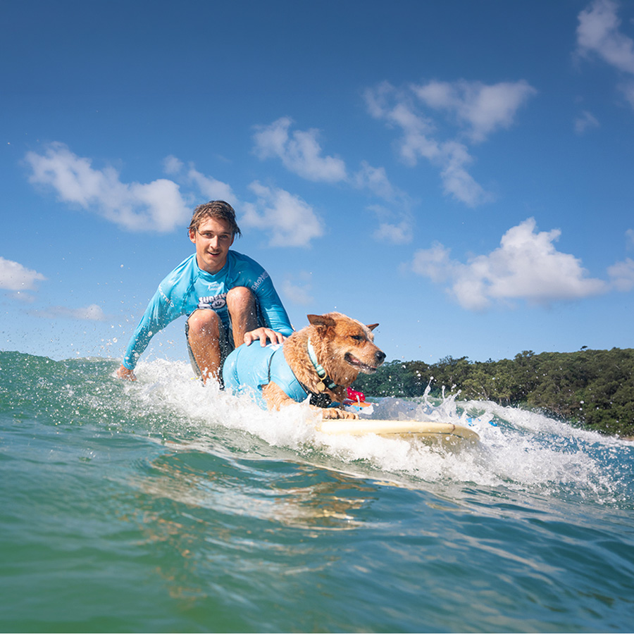 Top Dog Film Festival