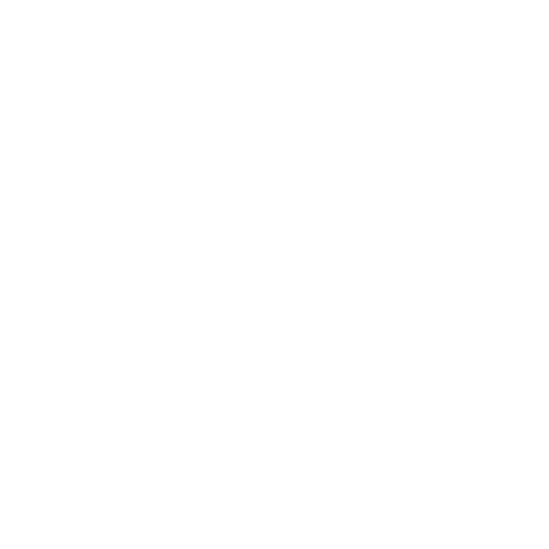 customer service